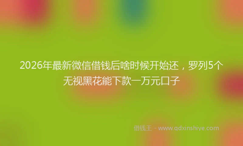 2026年最新微信借钱后啥时候开始还，罗列5个无视黑花能下款一万元口子