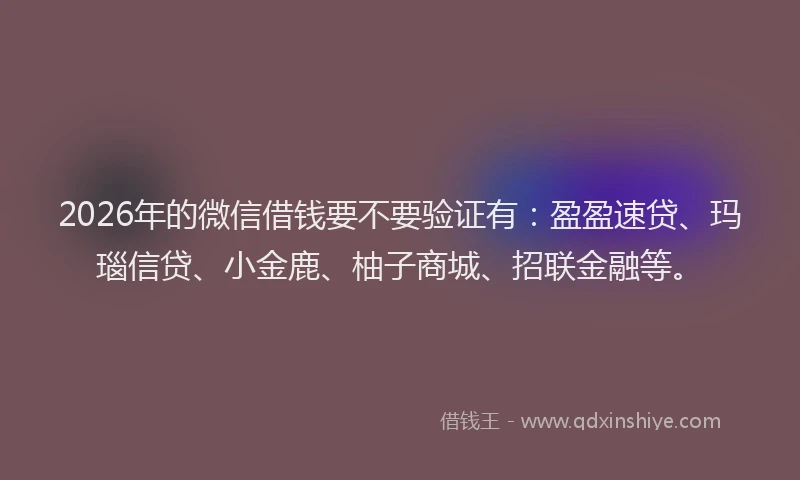 2026年的微信借钱要不要验证有：盈盈速贷、玛瑙信贷、小金鹿、柚子商城、招联金融等。