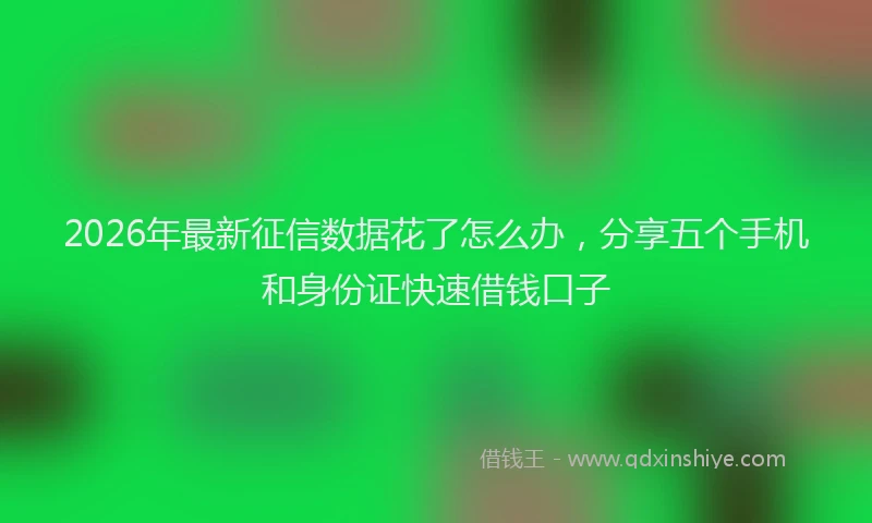 2026年最新征信数据花了怎么办，分享五个手机和身份证快速借钱口子