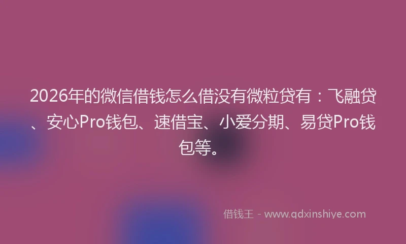 2026年的微信借钱怎么借没有微粒贷有：飞融贷、安心Pro钱包、速借宝、小爱分期、易贷Pro钱包等。