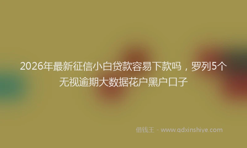 2026年最新征信小白贷款容易下款吗，罗列5个无视逾期大数据花户黑户口子