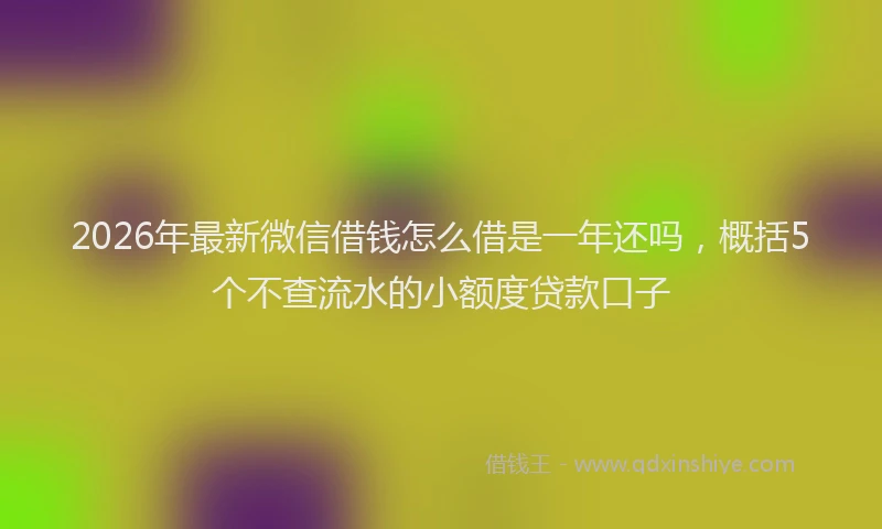 2026年最新微信借钱怎么借是一年还吗，概括5个不查流水的小额度贷款口子