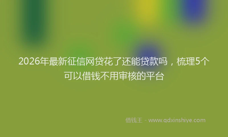 2026年最新征信网贷花了还能贷款吗，梳理5个可以借钱不用审核的平台