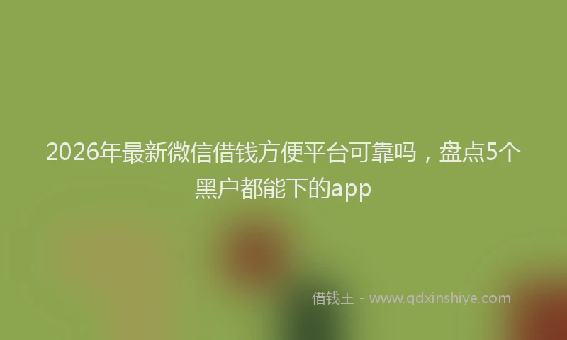 2026年最新微信借钱方便平台可靠吗，盘点5个黑户都能下的app