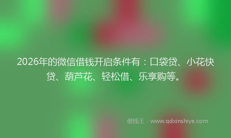 2026年的微信借钱开启条件有：口袋贷、小花快贷、葫芦花、轻松借、乐享购等。