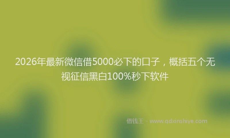 2026年最新微信借5000必下的口子，概括五个无视征信黑白100%秒下软件