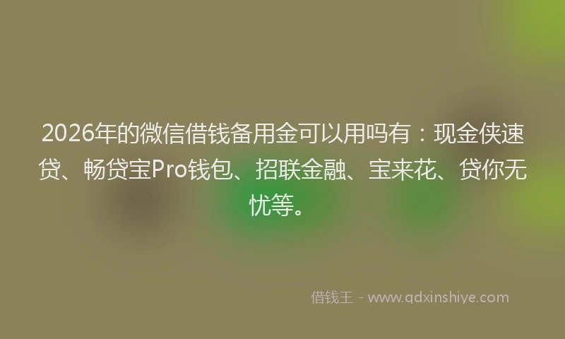 2026年的微信借钱备用金可以用吗有：现金侠速贷、畅贷宝Pro钱包、招联金融、宝来花、贷你无忧等。