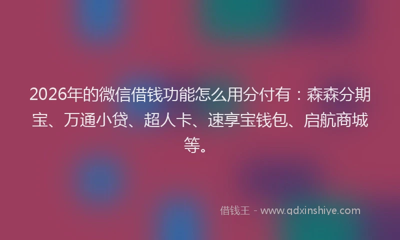 2026年的微信借钱功能怎么用分付有：森森分期宝、万通小贷、超人卡、速享宝钱包、启航商城等。