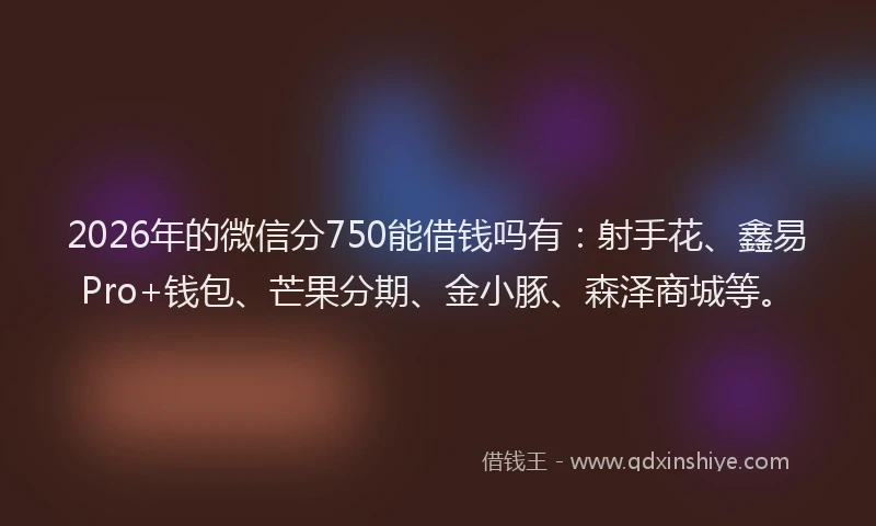 2026年的微信分750能借钱吗有：射手花、鑫易Pro+钱包、芒果分期、金小豚、森泽商城等。