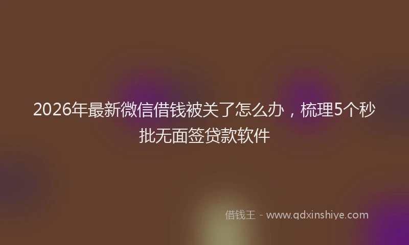 2026年最新微信借钱被关了怎么办，梳理5个秒批无面签贷款软件