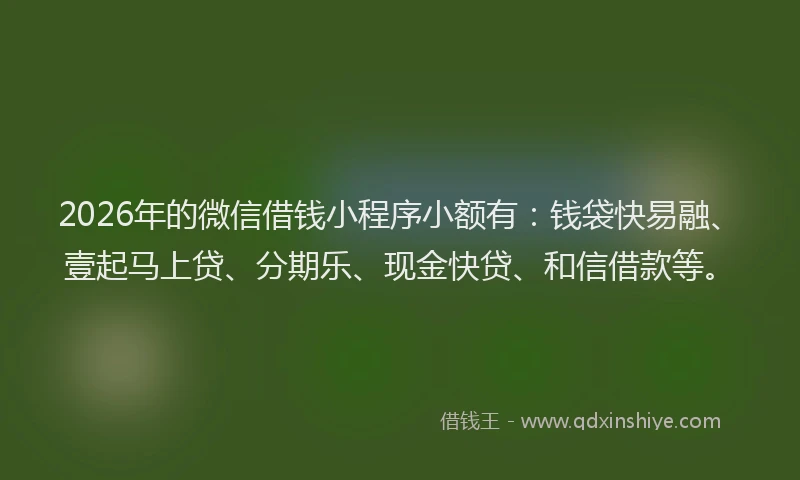 2026年的微信借钱小程序小额有：钱袋快易融、壹起马上贷、分期乐、现金快贷、和信借款等。