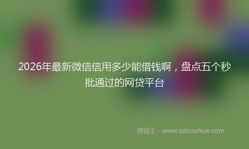 2026年最新微信信用多少能借钱啊，盘点五个秒批通过的网贷平台