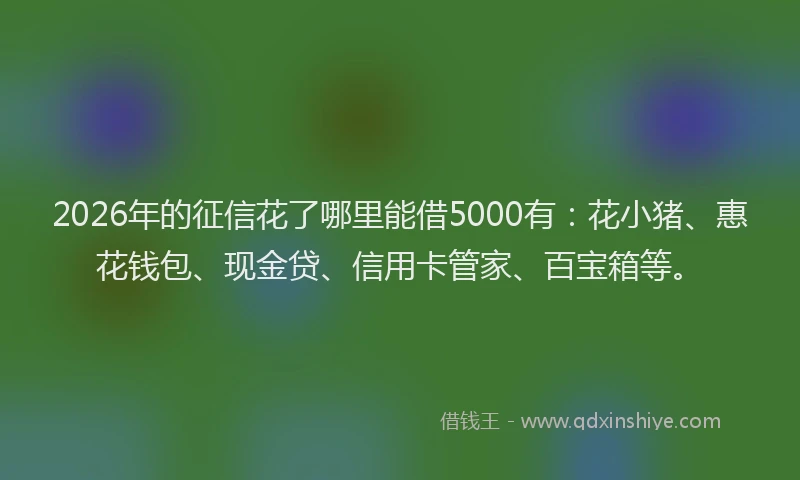 2026年的征信花了哪里能借5000有：花小猪、惠花钱包、现金贷、信用卡管家、百宝箱等。