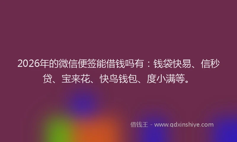 2026年的微信便签能借钱吗有：钱袋快易、信秒贷、宝来花、快鸟钱包、度小满等。