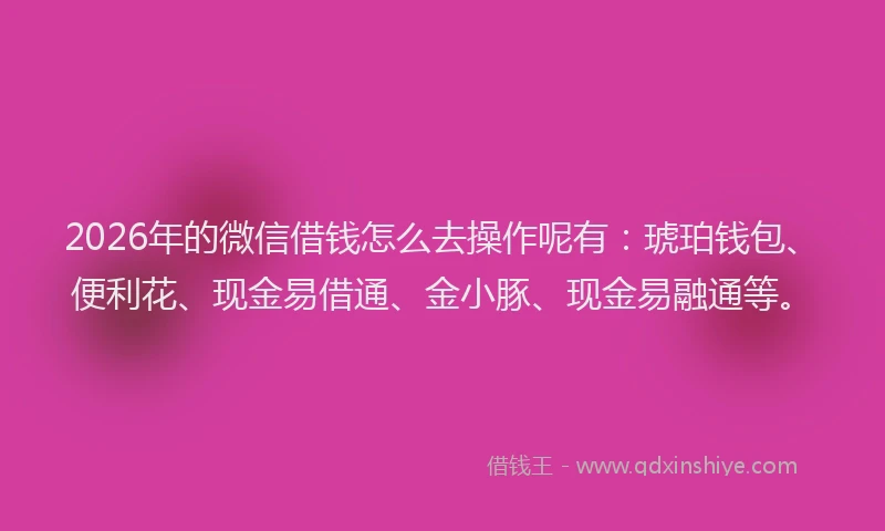 2026年的微信借钱怎么去操作呢有：琥珀钱包、便利花、现金易借通、金小豚、现金易融通等。