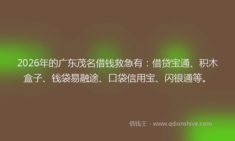 2026年的广东茂名借钱救急有：借贷宝通、积木盒子、钱袋易融途、口袋信用宝、闪银通等。