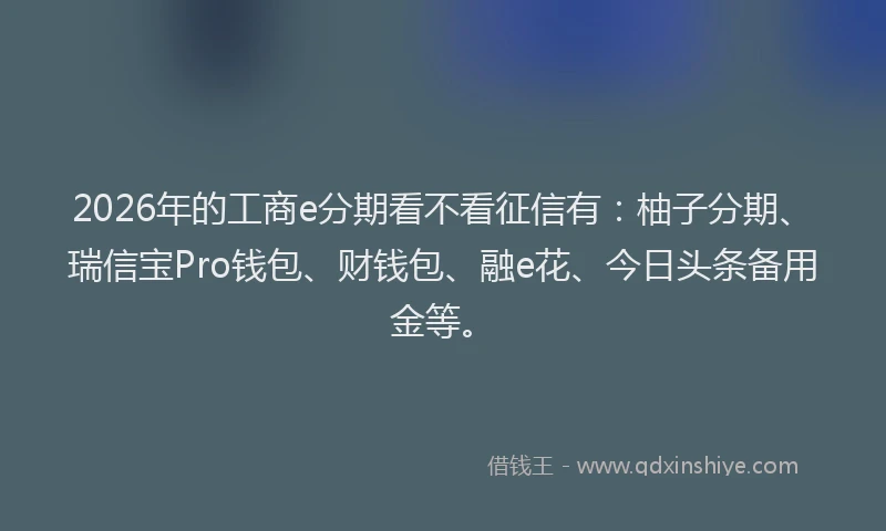 2026年的工商e分期看不看征信有：柚子分期、瑞信宝Pro钱包、财钱包、融e花、今日头条备用金等。
