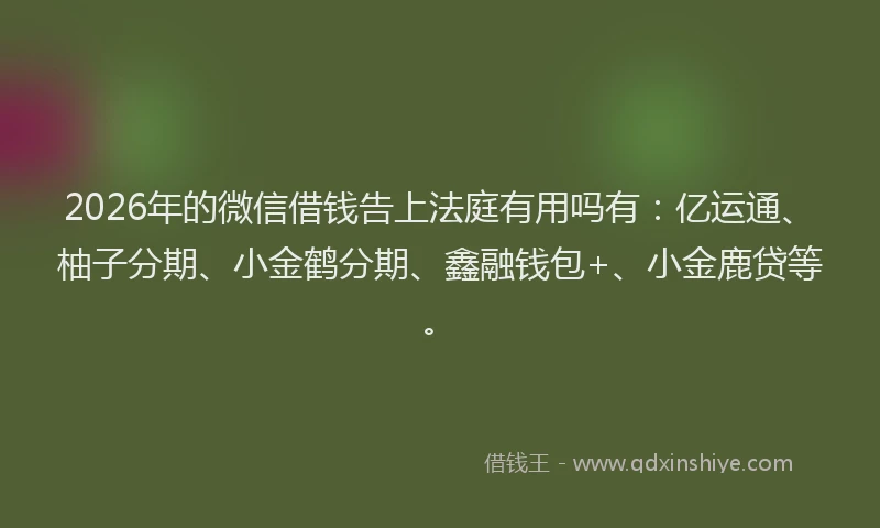 2026年的微信借钱告上法庭有用吗有：亿运通、柚子分期、小金鹤分期、鑫融钱包+、小金鹿贷等。