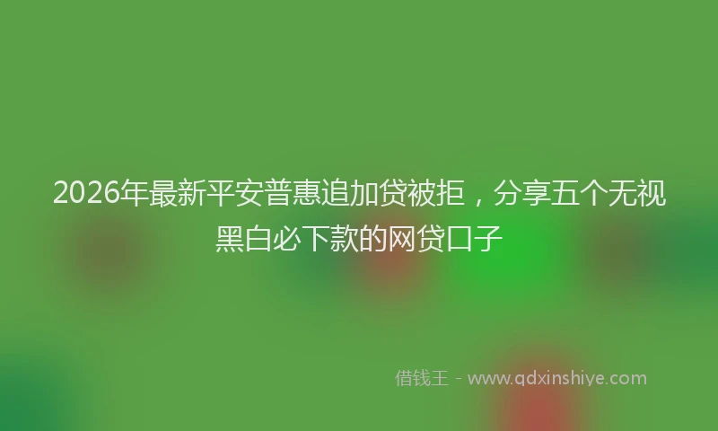 2026年最新平安普惠追加贷被拒，分享五个无视黑白必下款的网贷口子