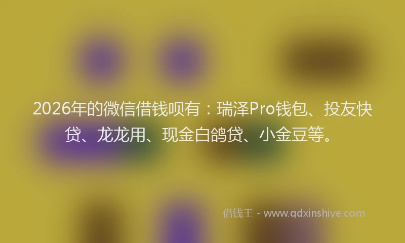 2026年的微信借钱呗有：瑞泽Pro钱包、投友快贷、龙龙用、现金白鸽贷、小金豆等。