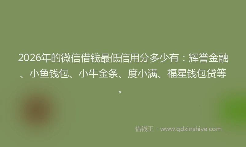2026年的微信借钱最低信用分多少有：辉誉金融、小鱼钱包、小牛金条、度小满、福星钱包贷等。