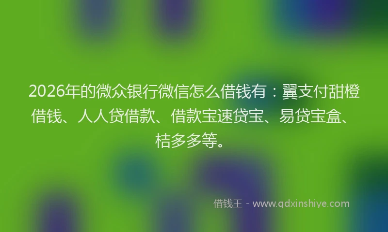 2026年的微众银行微信怎么借钱有：翼支付甜橙借钱、人人贷借款、借款宝速贷宝、易贷宝盒、桔多多等。