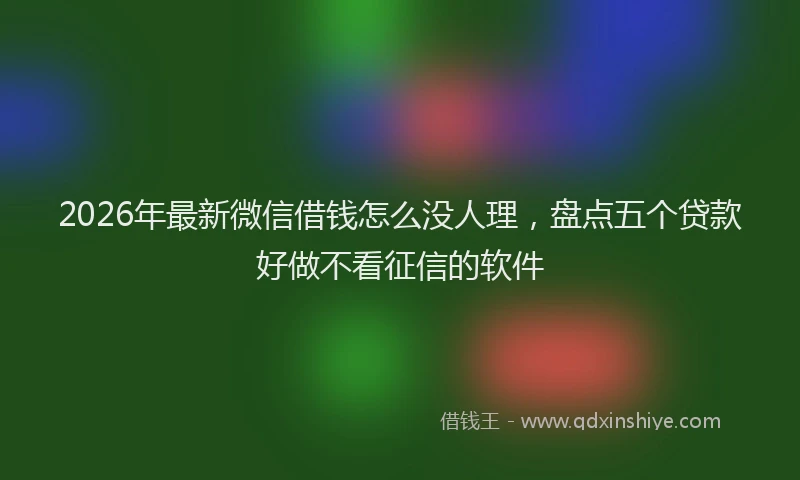 2026年最新微信借钱怎么没人理，盘点五个贷款好做不看征信的软件