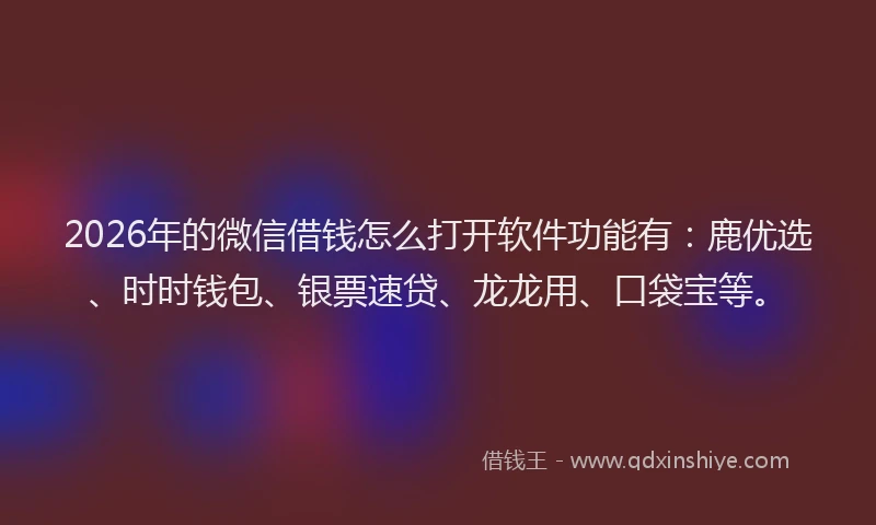 2026年的微信借钱怎么打开软件功能有：鹿优选、时时钱包、银票速贷、龙龙用、口袋宝等。