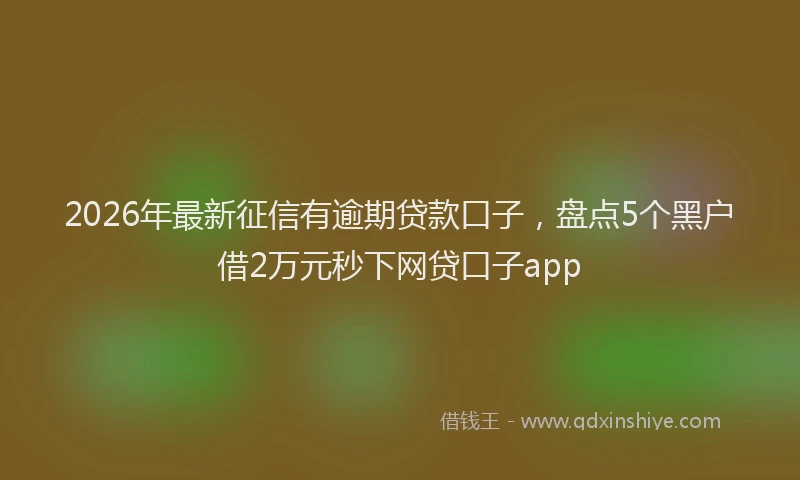 2026年最新征信有逾期贷款口子，盘点5个黑户借2万元秒下网贷口子app
