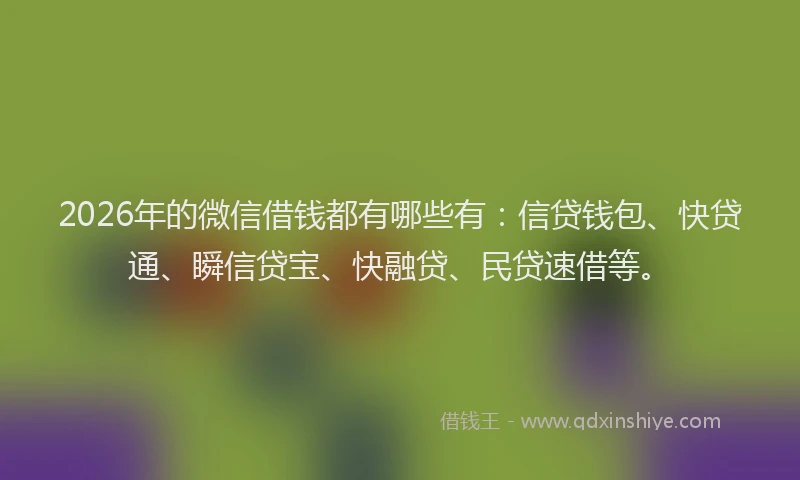2026年的微信借钱都有哪些有：信贷钱包、快贷通、瞬信贷宝、快融贷、民贷速借等。