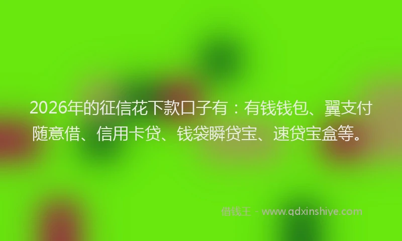 2026年的征信花下款口子有：有钱钱包、翼支付随意借、信用卡贷、钱袋瞬贷宝、速贷宝盒等。