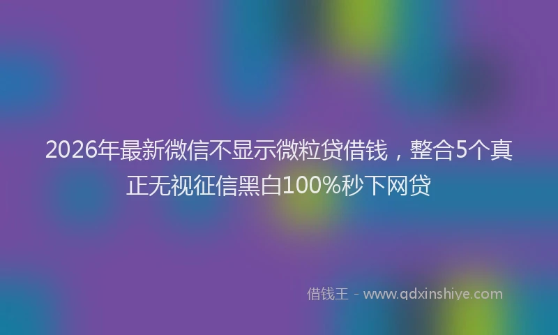2026年最新微信不显示微粒贷借钱，整合5个真正无视征信黑白100%秒下网贷