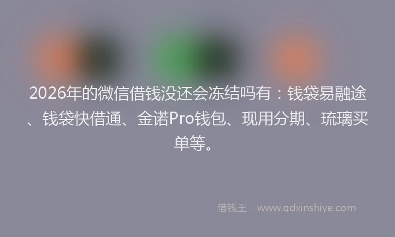 2026年的微信借钱没还会冻结吗有：钱袋易融途、钱袋快借通、金诺Pro钱包、现用分期、琉璃买单等。