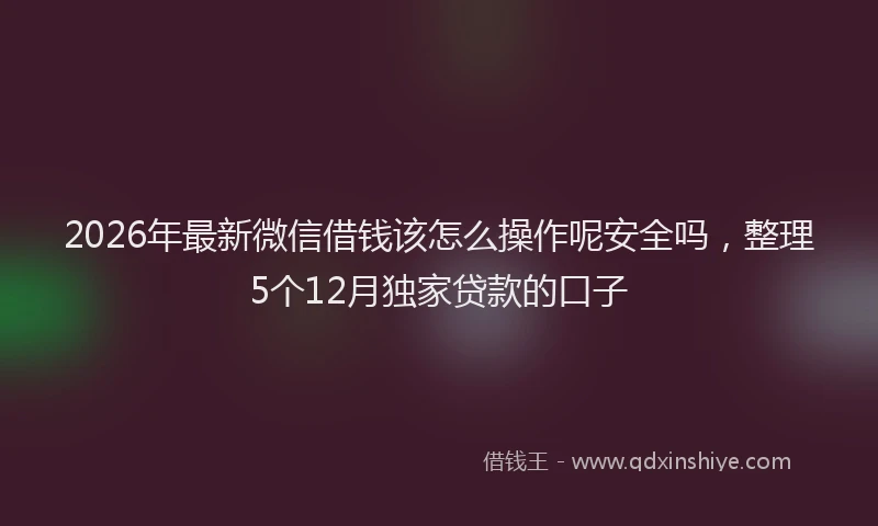2026年最新微信借钱该怎么操作呢安全吗，整理5个12月独家贷款的口子