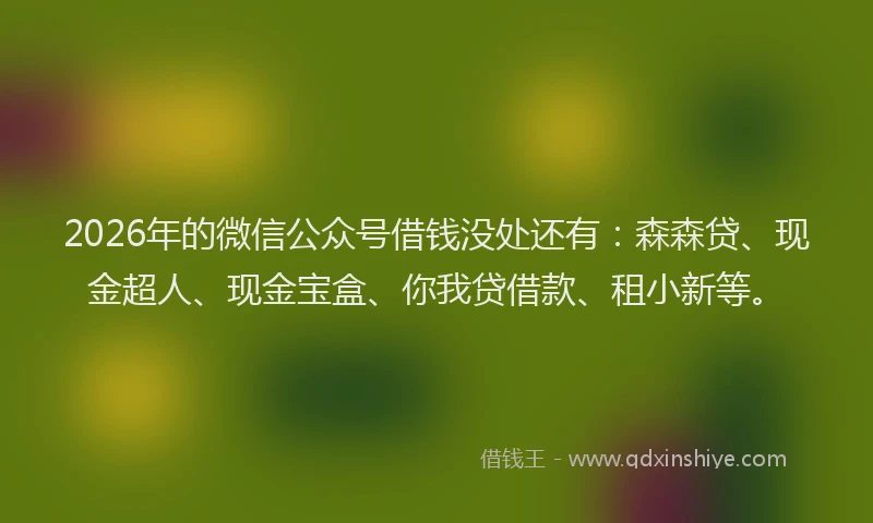 2026年的微信公众号借钱没处还有：森森贷、现金超人、现金宝盒、你我贷借款、租小新等。