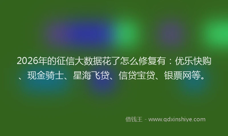 2026年的征信大数据花了怎么修复有：优乐快购、现金骑士、星海飞贷、信贷宝贷、银票网等。