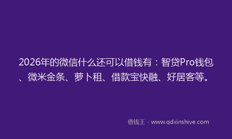 2026年的微信什么还可以借钱有：智贷Pro钱包、微米金条、萝卜租、借款宝快融、好居客等。