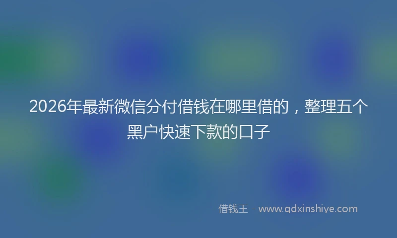 2026年最新微信分付借钱在哪里借的，整理五个黑户快速下款的口子