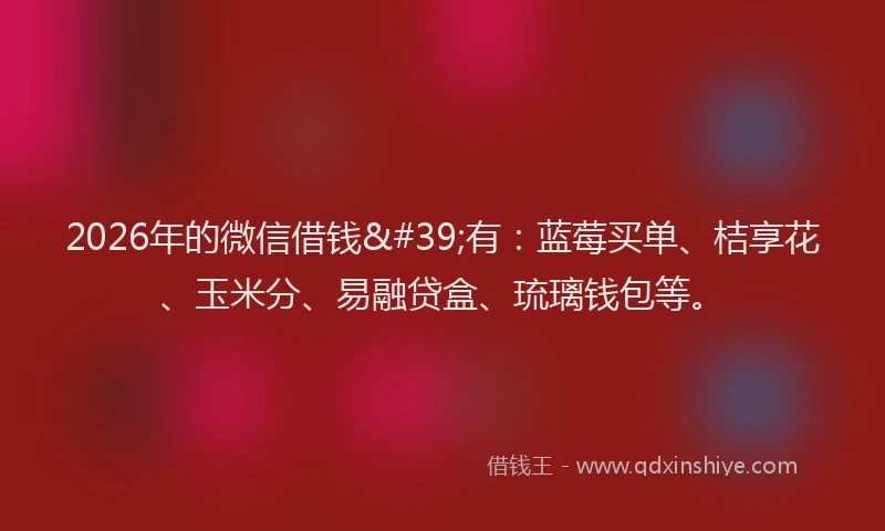 2026年的微信借钱'有：蓝莓买单、桔享花、玉米分、易融贷盒、琉璃钱包等。