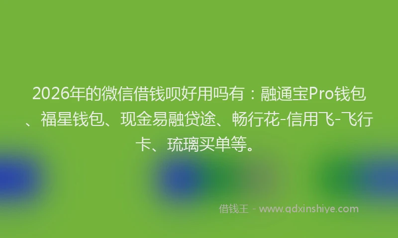 2026年的微信借钱呗好用吗有：融通宝Pro钱包、福星钱包、现金易融贷途、畅行花-信用飞-飞行卡、琉璃买单等。