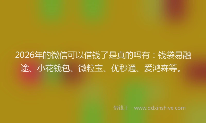 2026年的微信可以借钱了是真的吗有：钱袋易融途、小花钱包、微粒宝、优秒通、爱鸿森等。