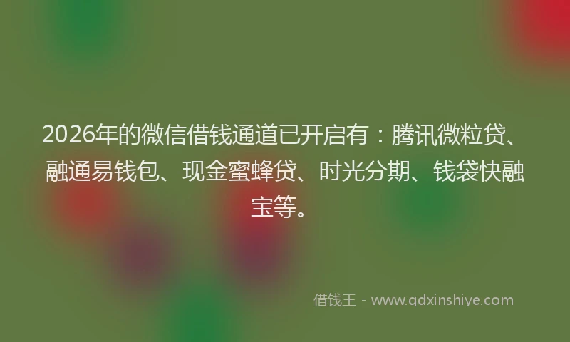 2026年的微信借钱通道已开启有：腾讯微粒贷、融通易钱包、现金蜜蜂贷、时光分期、钱袋快融宝等。