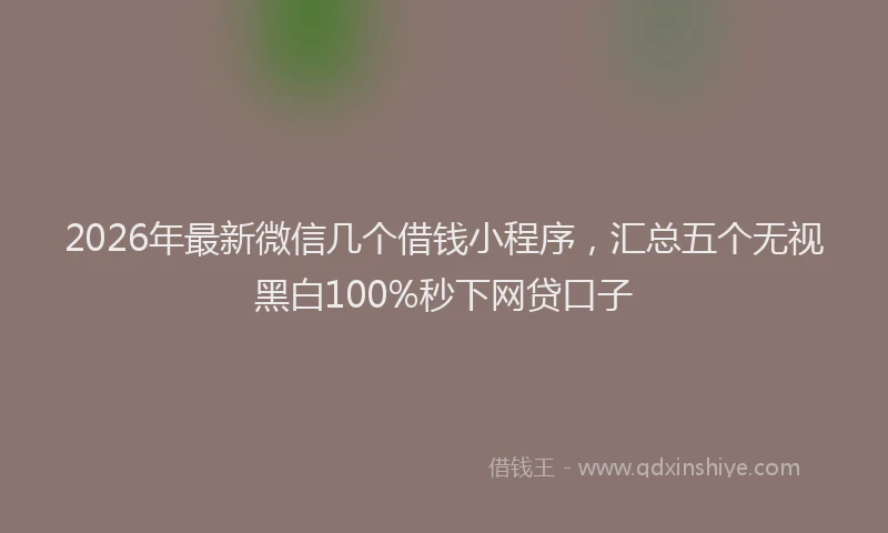 2026年最新微信几个借钱小程序，汇总五个无视黑白100%秒下网贷口子