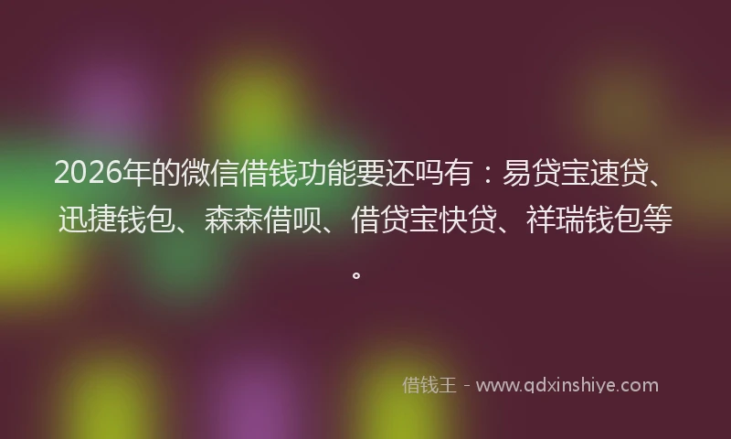 2026年的微信借钱功能要还吗有：易贷宝速贷、迅捷钱包、森森借呗、借贷宝快贷、祥瑞钱包等。