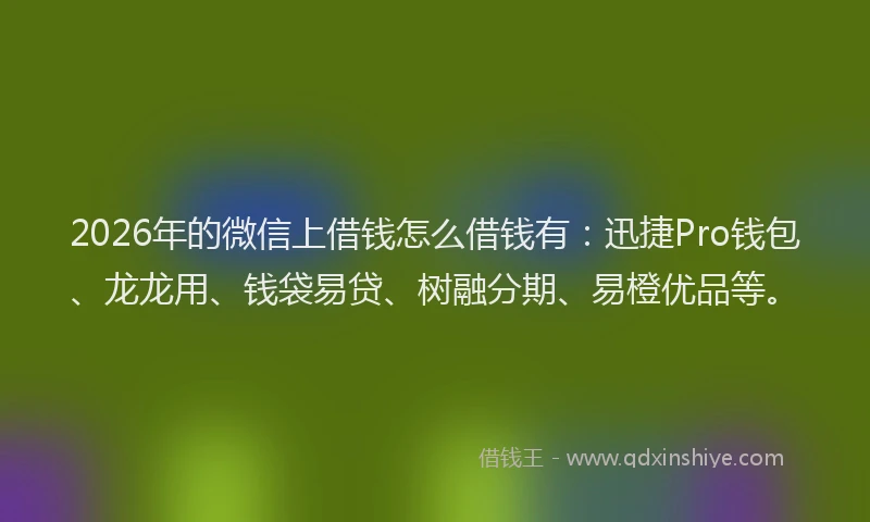 2026年的微信上借钱怎么借钱有：迅捷Pro钱包、龙龙用、钱袋易贷、树融分期、易橙优品等。