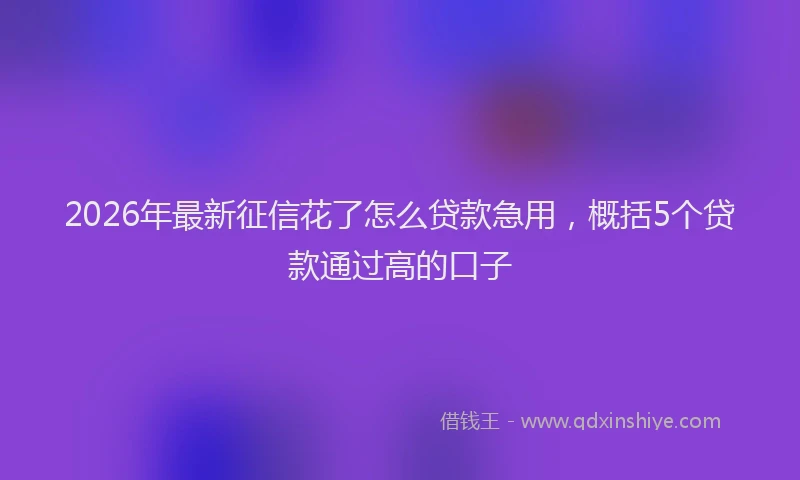 2026年最新征信花了怎么贷款急用，概括5个贷款通过高的口子