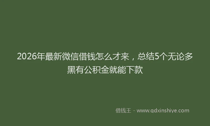 2026年最新微信借钱怎么才来，总结5个无论多黑有公积金就能下款