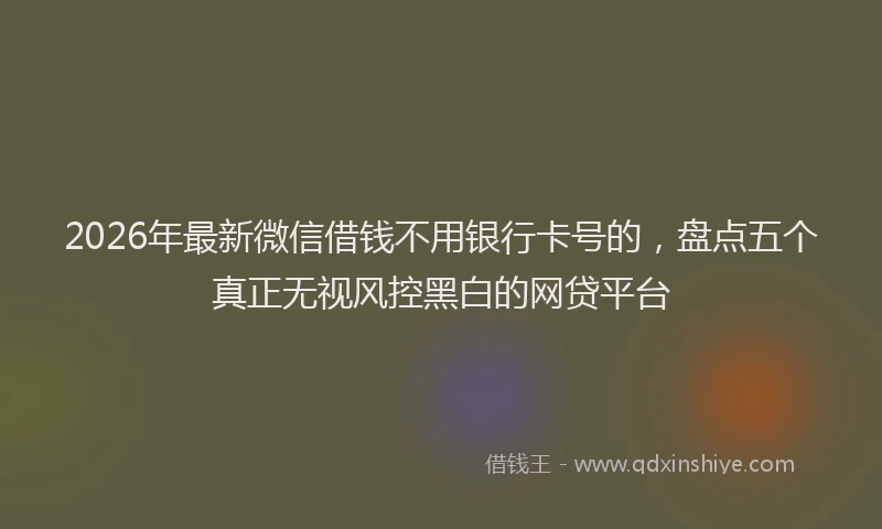 2026年最新微信借钱不用银行卡号的，盘点五个真正无视风控黑白的网贷平台
