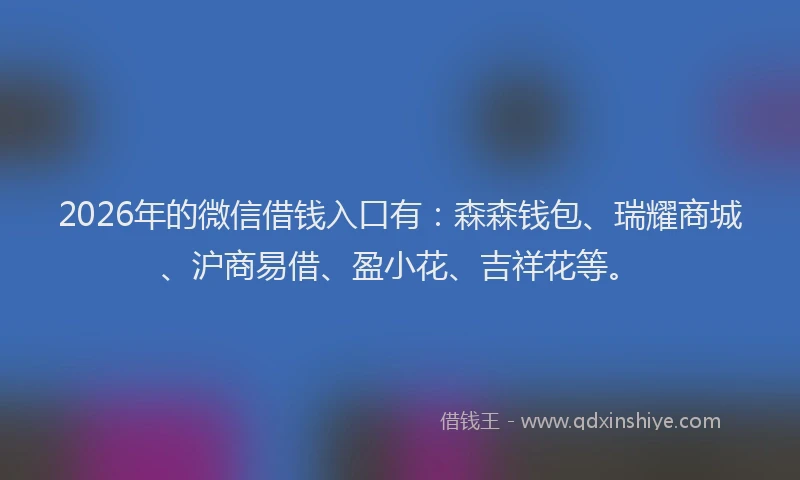 2026年的微信借钱入口有：森森钱包、瑞耀商城、沪商易借、盈小花、吉祥花等。