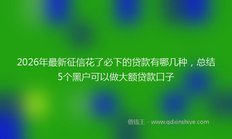 2026年最新征信花了必下的贷款有哪几种，总结5个黑户可以做大额贷款口子